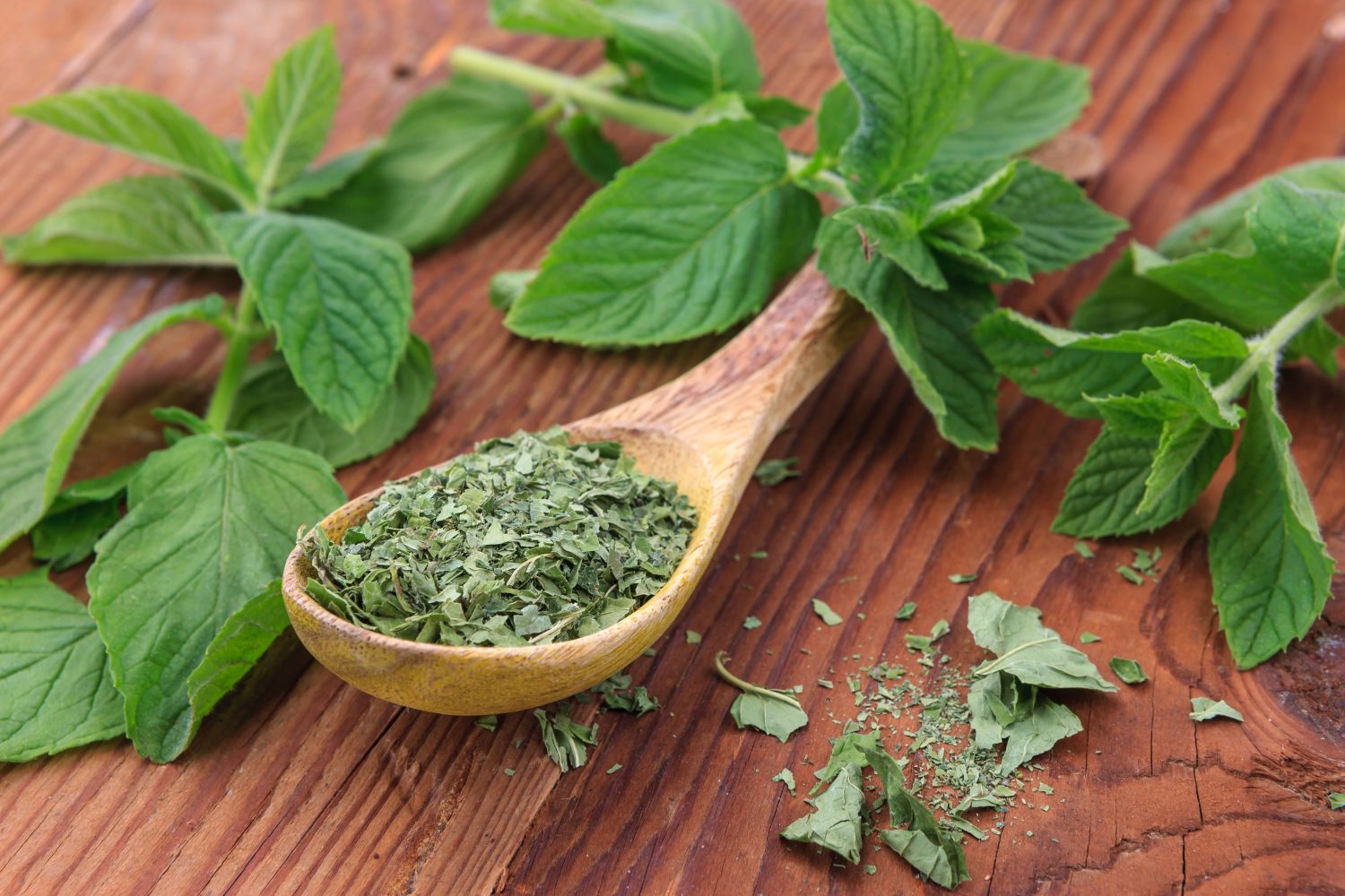 store-fresh-mint