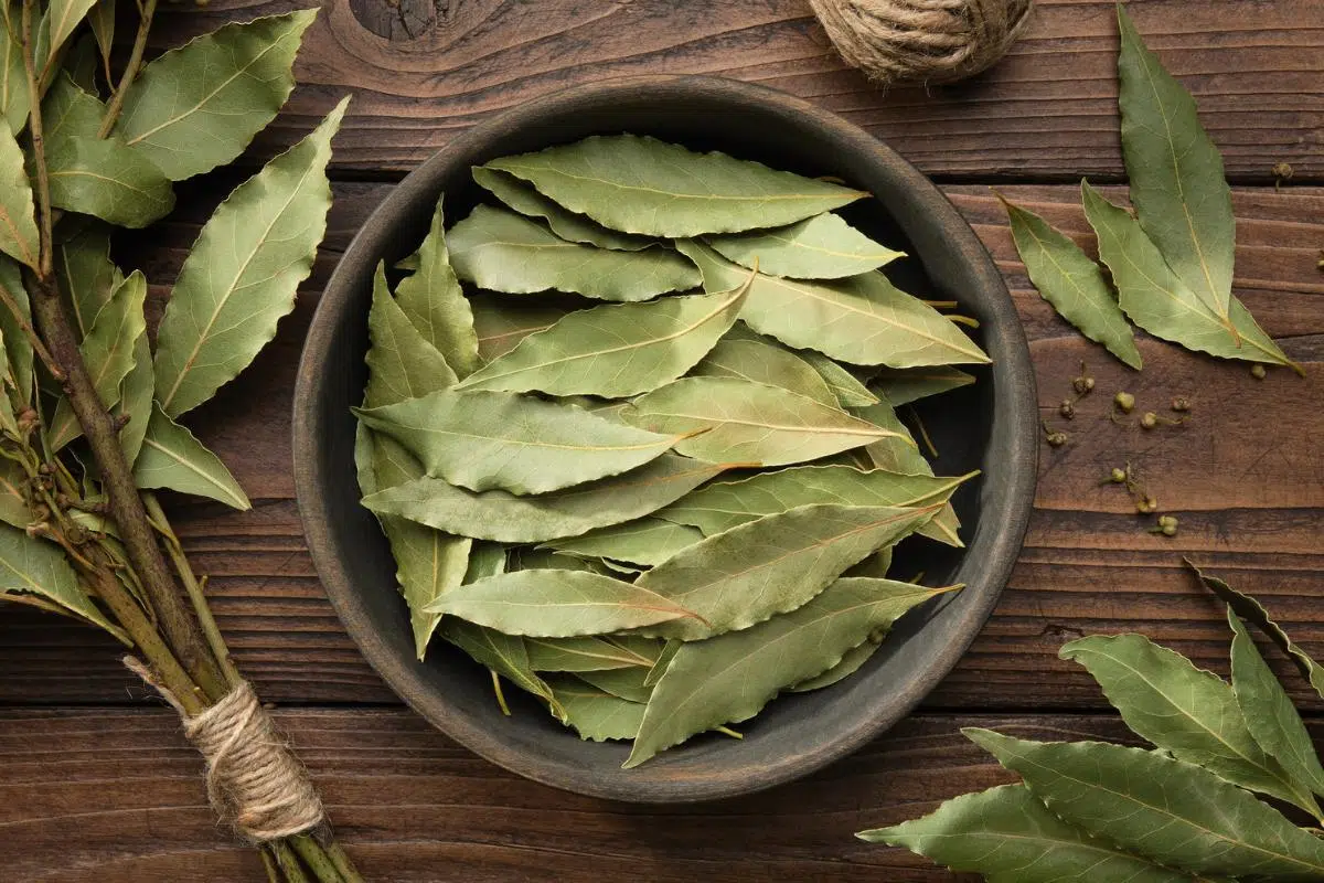 Como-usar-el-laurel-en-la-cocina.jpg
