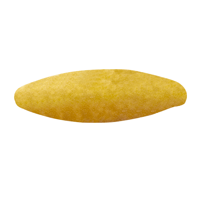 MUTLU002_OBA_Risone3